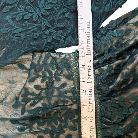 Hunter Green Lace Large Ivy City Co Sicily Lined Floral Midi Dress L Fall Fancy - Picture 7 of 13